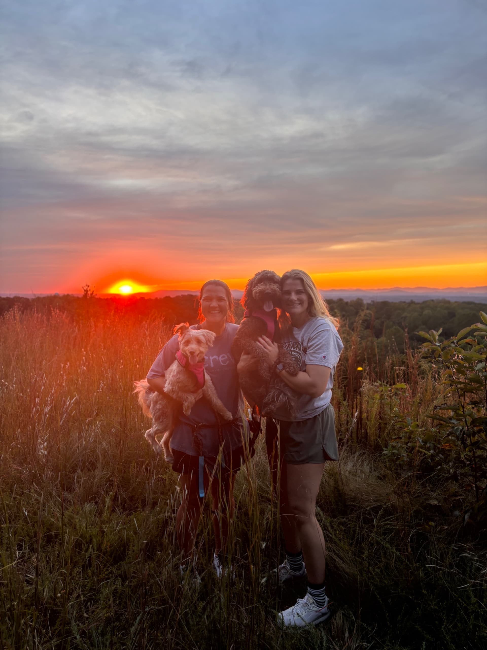 Taylor & Kenzie's IVF Journey, photo 1 of 1