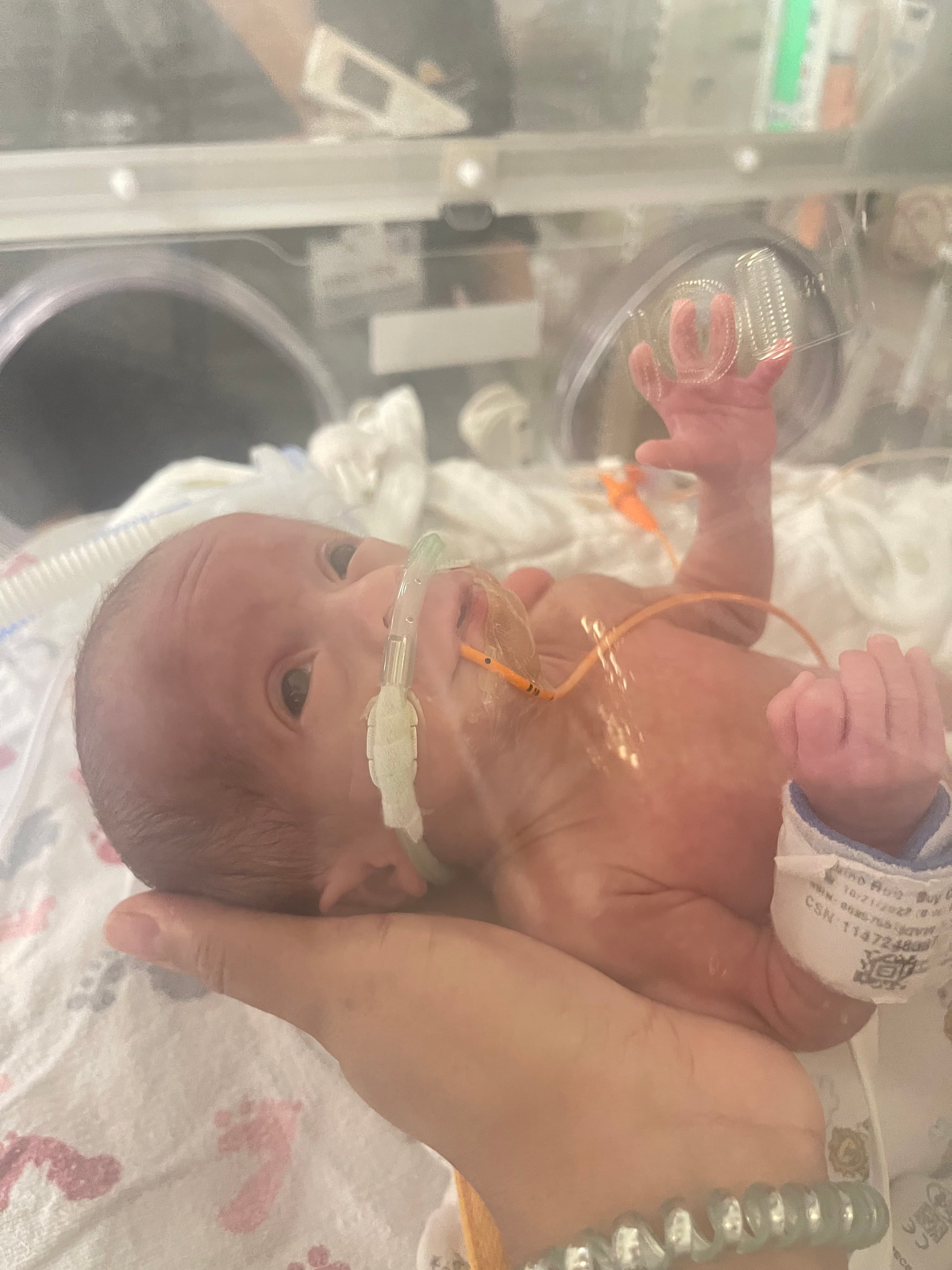Cynthia & Yeison's IVF Journey, photo 1 of 1
