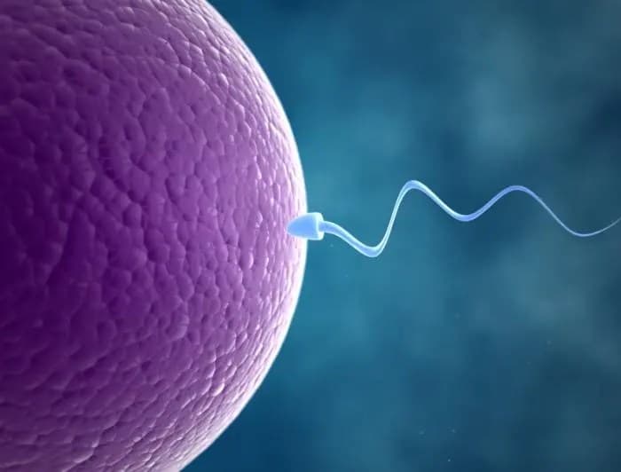 Women with infertility, photo 1 of 2
