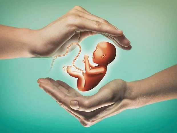 IVF GOAL TO PARENTHOOD, photo 1 of 1