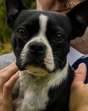 Couple needs help starting their family!, photo 1 of 1
