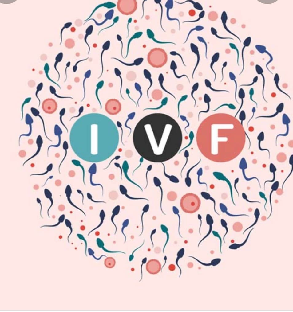 IVF Cycle 1, photo 1 of 1