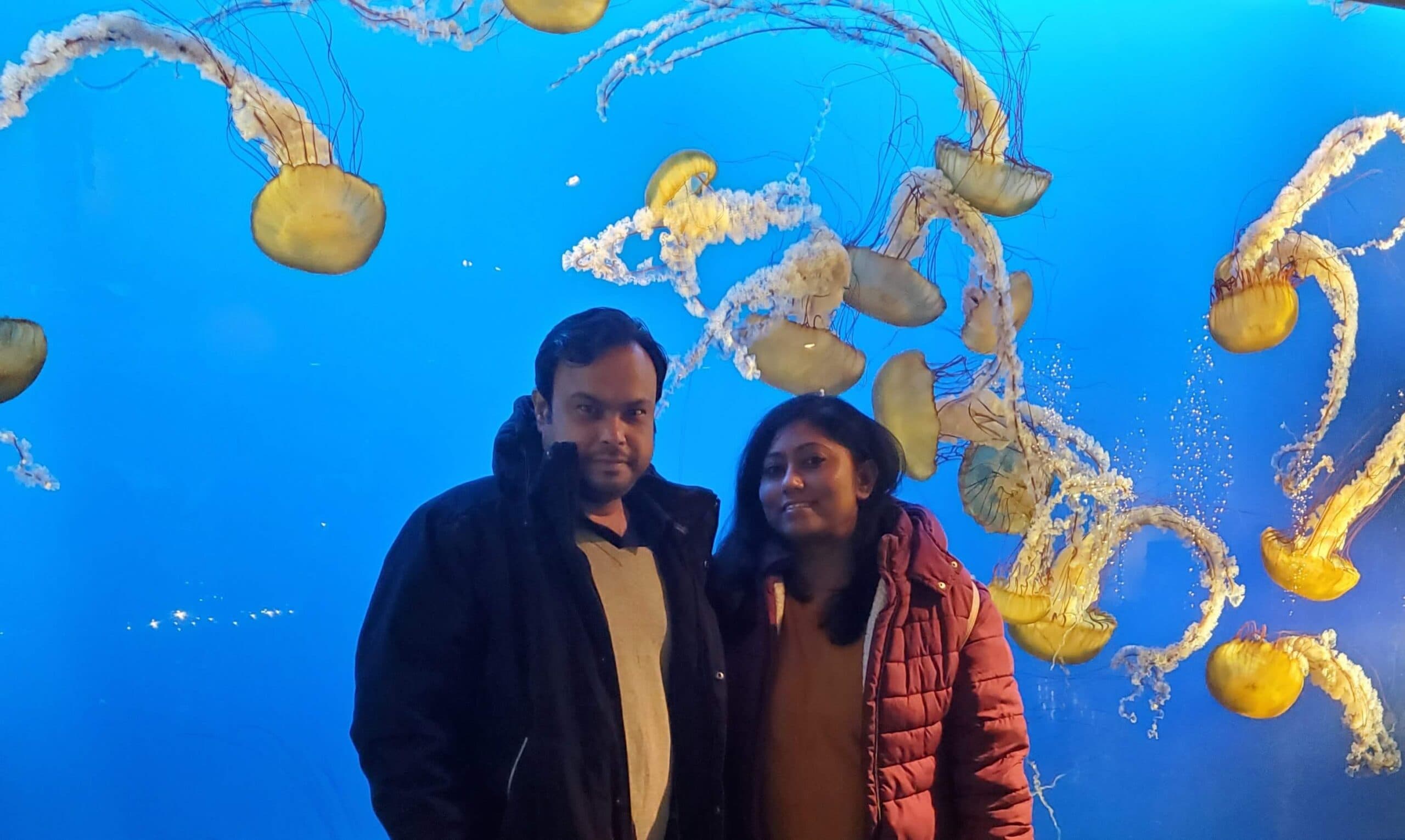 Help Moumita and Saurabh fulfill their IVF dreams, photo 1 of 1