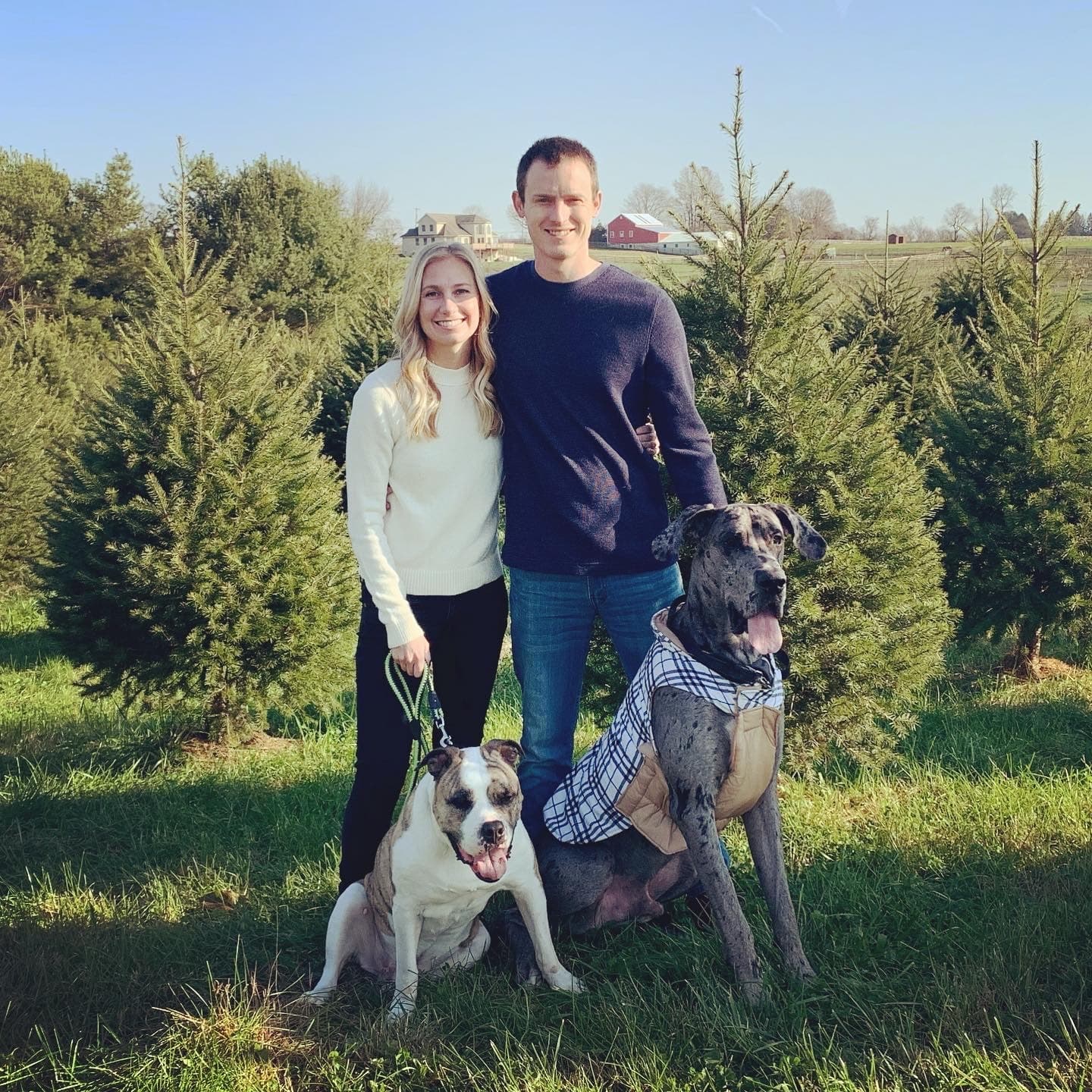 Help us start our Family, photo 1 of 1