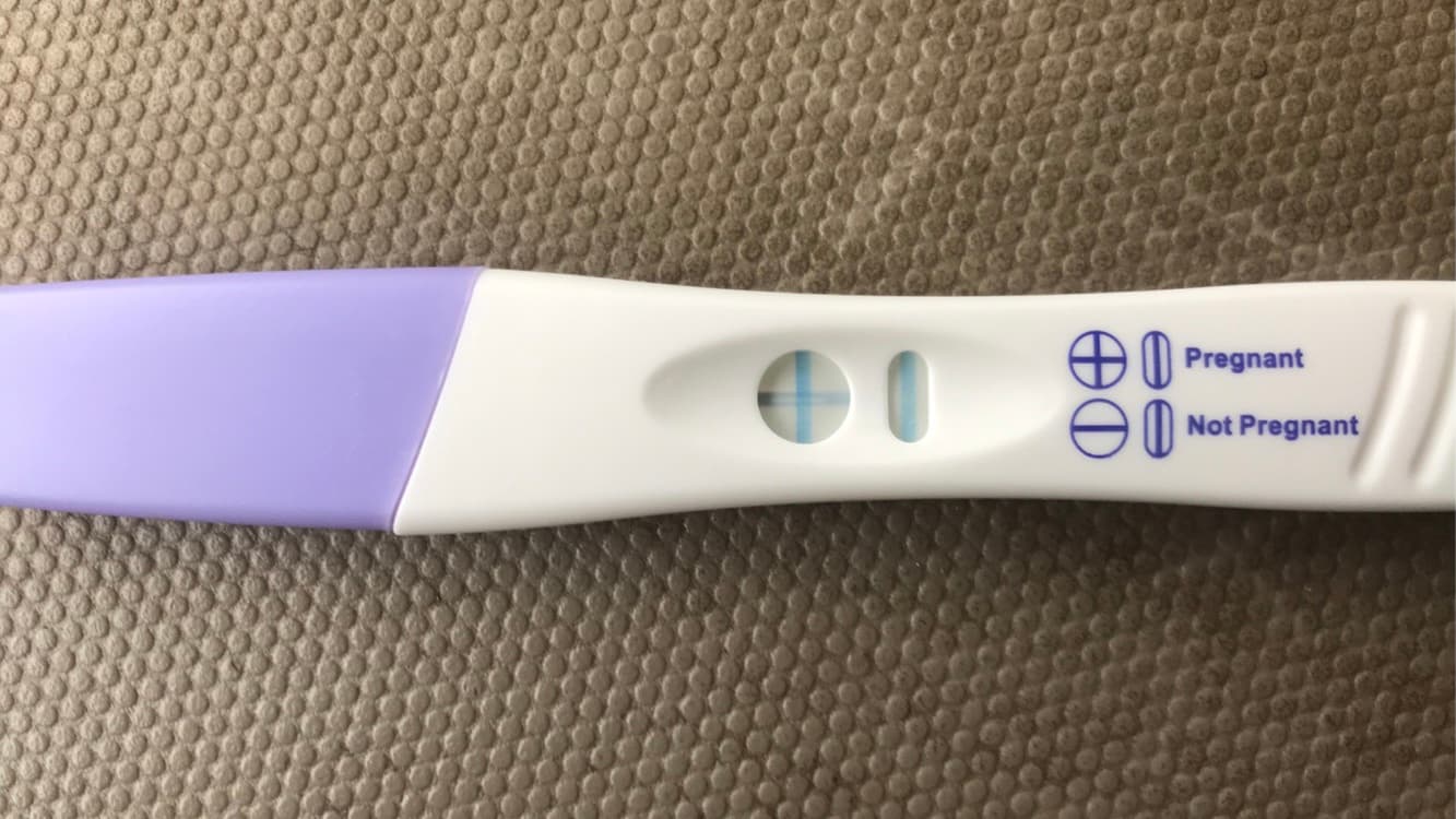 Operation help bring home a Baby Rosekrans!, photo 1 of 5