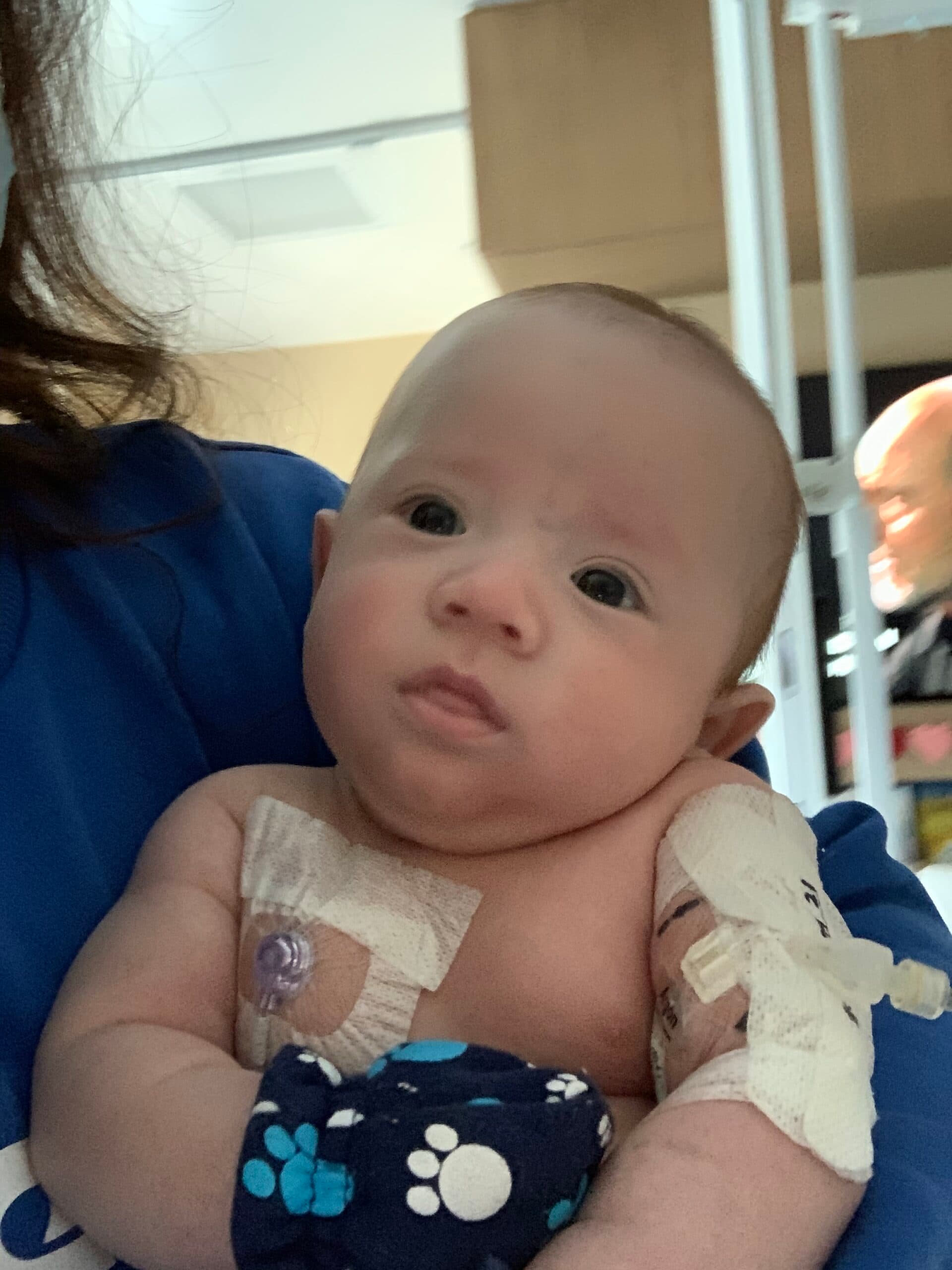 Ivf and preimplantation embryo testing, photo 1 of 2