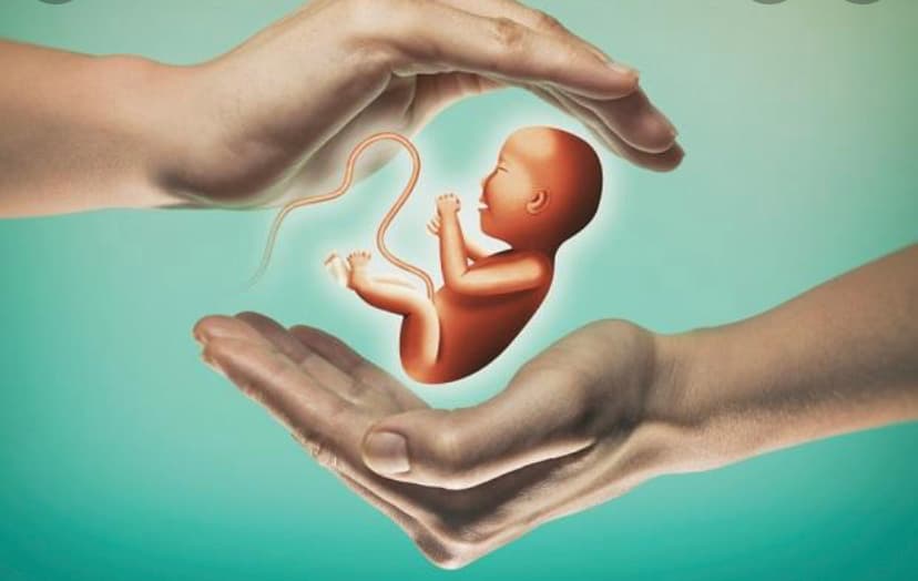 Support hopeful parents with grant money for IVF, photo 1 of 1