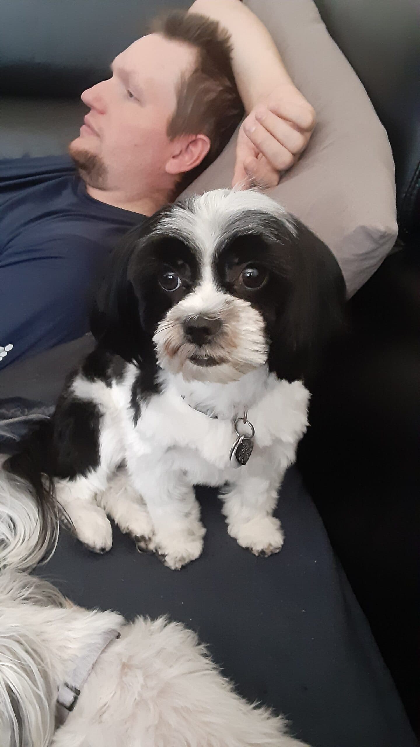 Adopting baby Slater, photo 1 of 3