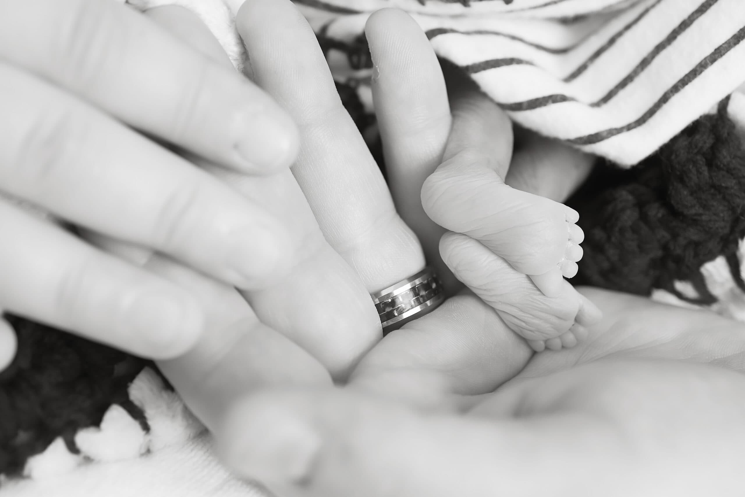 Baby The Sniffen Family, photo 1 of 1