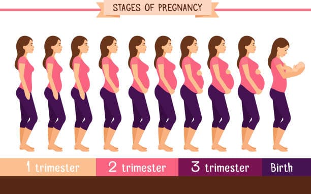 Darah's Baby Journey, photo 1 of 1