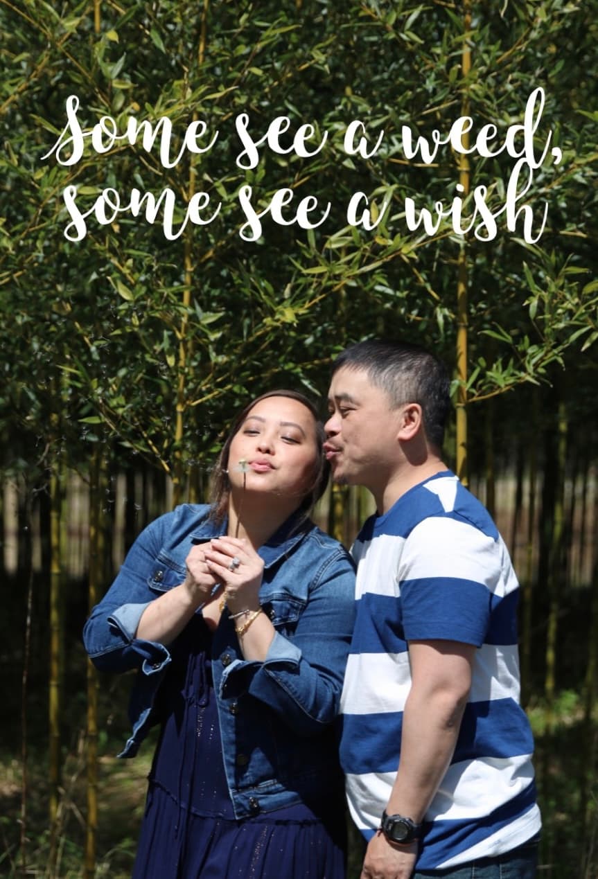 Help us build a family, photo 1 of 1