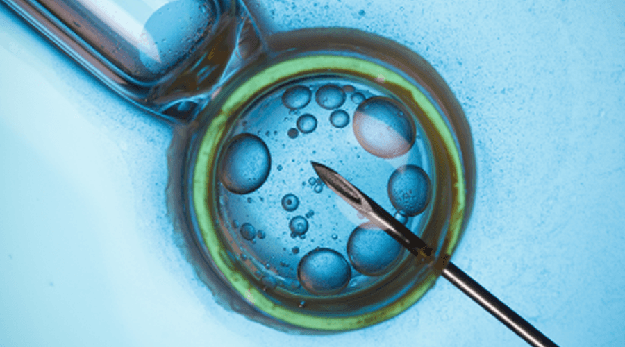IVF Treatment, photo 1 of 1