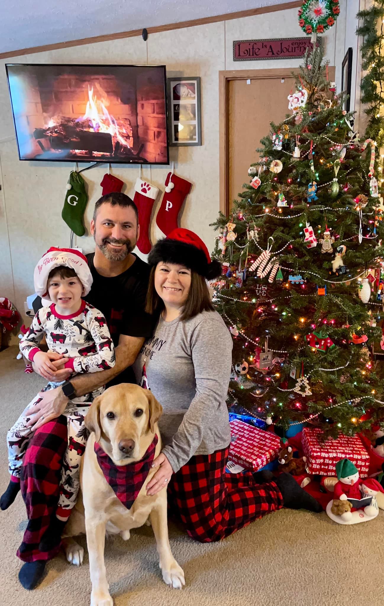 Growing our family, photo 1 of 2