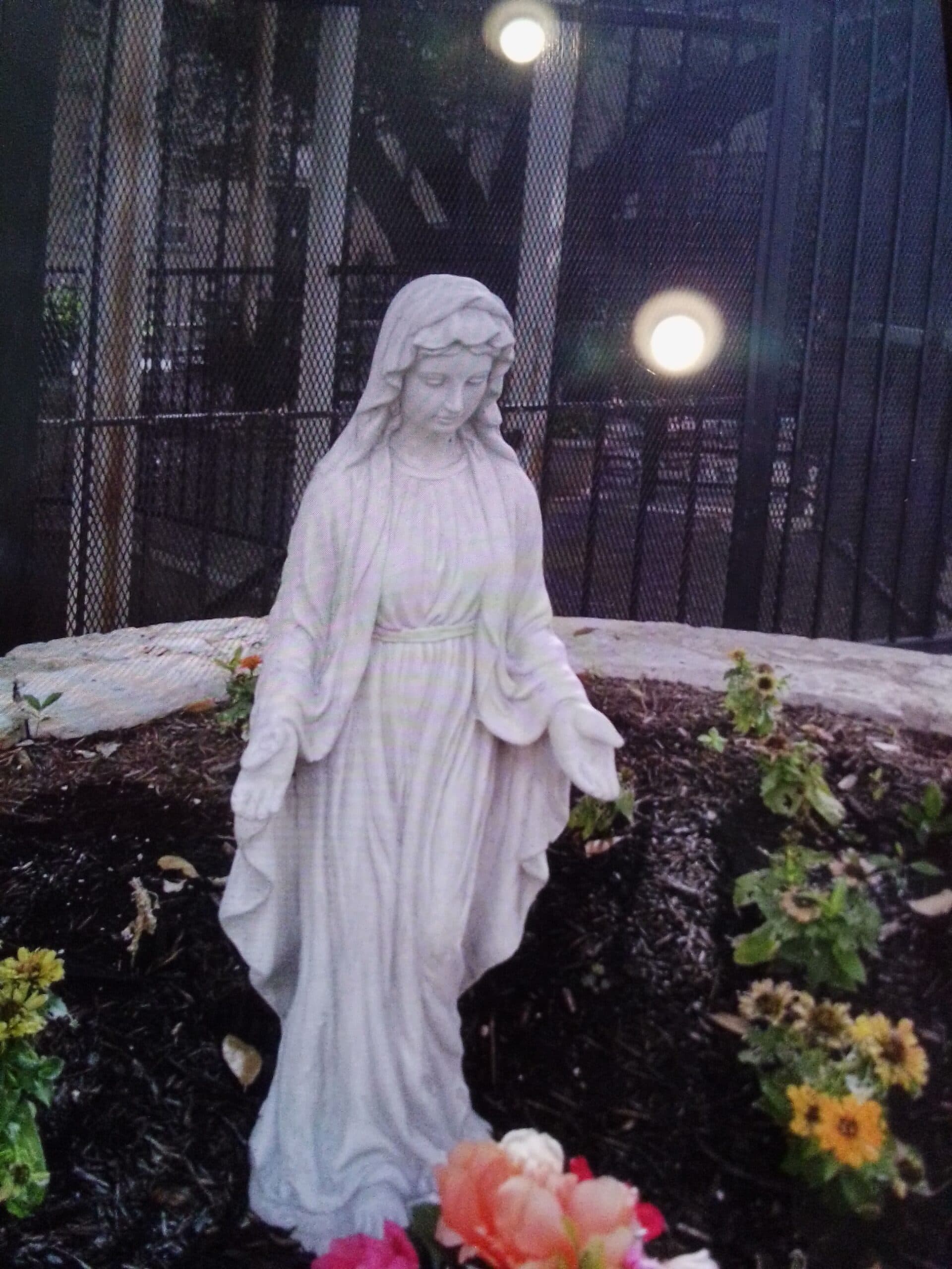 Our adopted children will put an end to satanism, photo 1 of 1