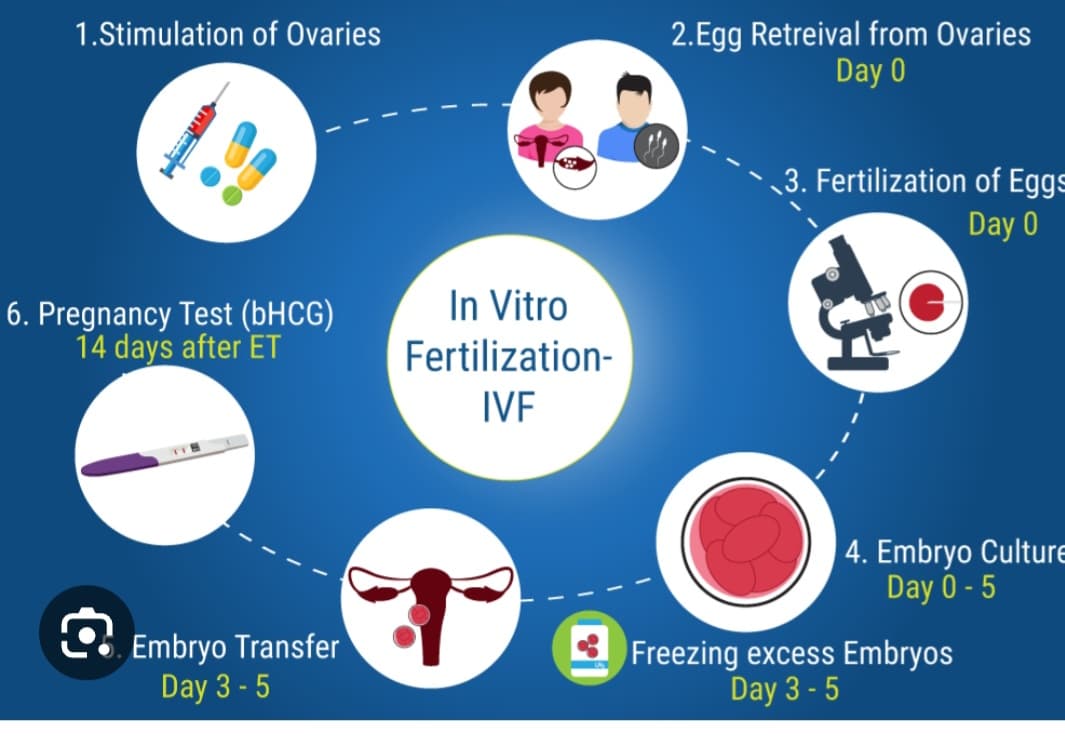 IVF SUPPORT, photo 1 of 1