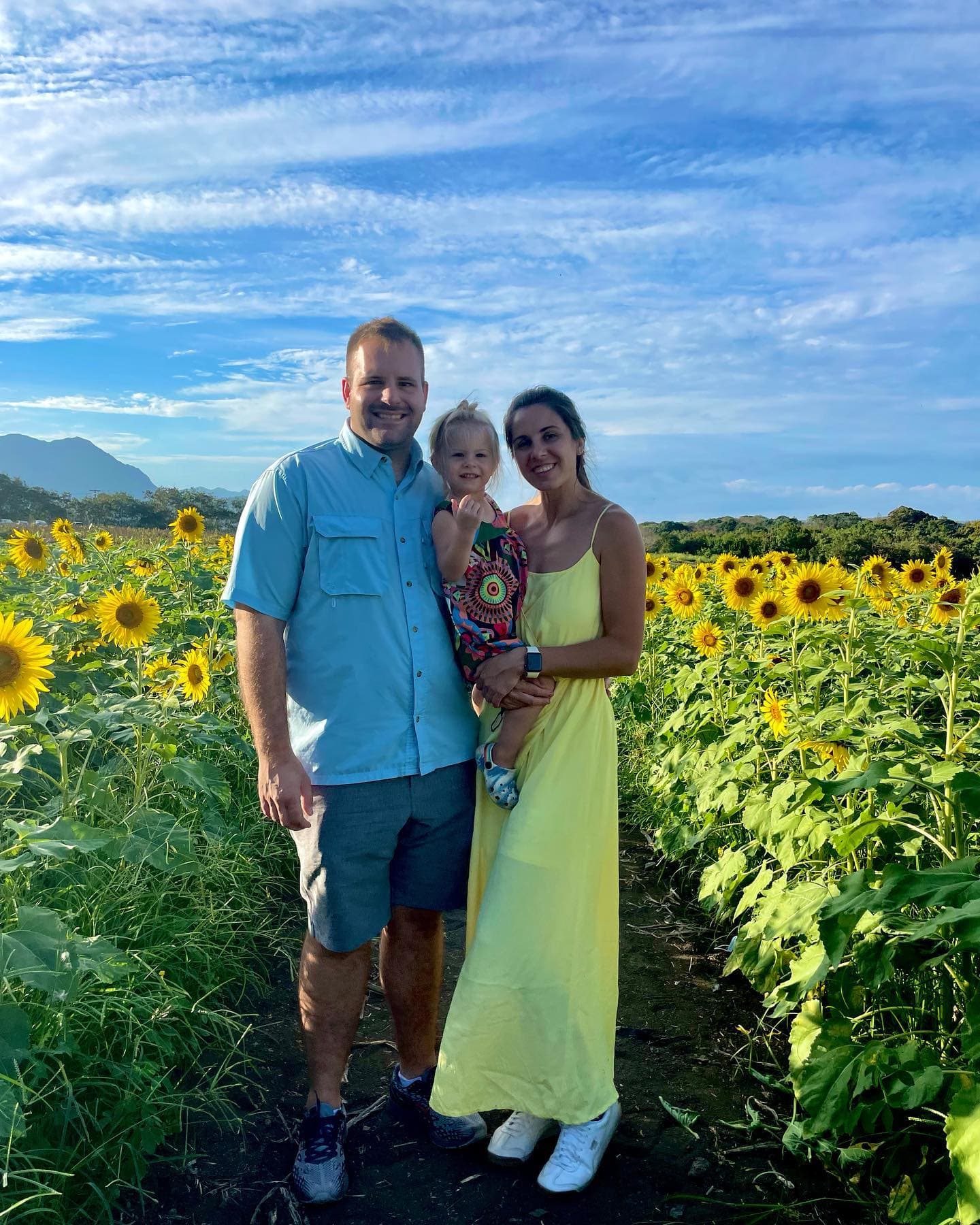 Hope to be family of 4, photo 1 of 1