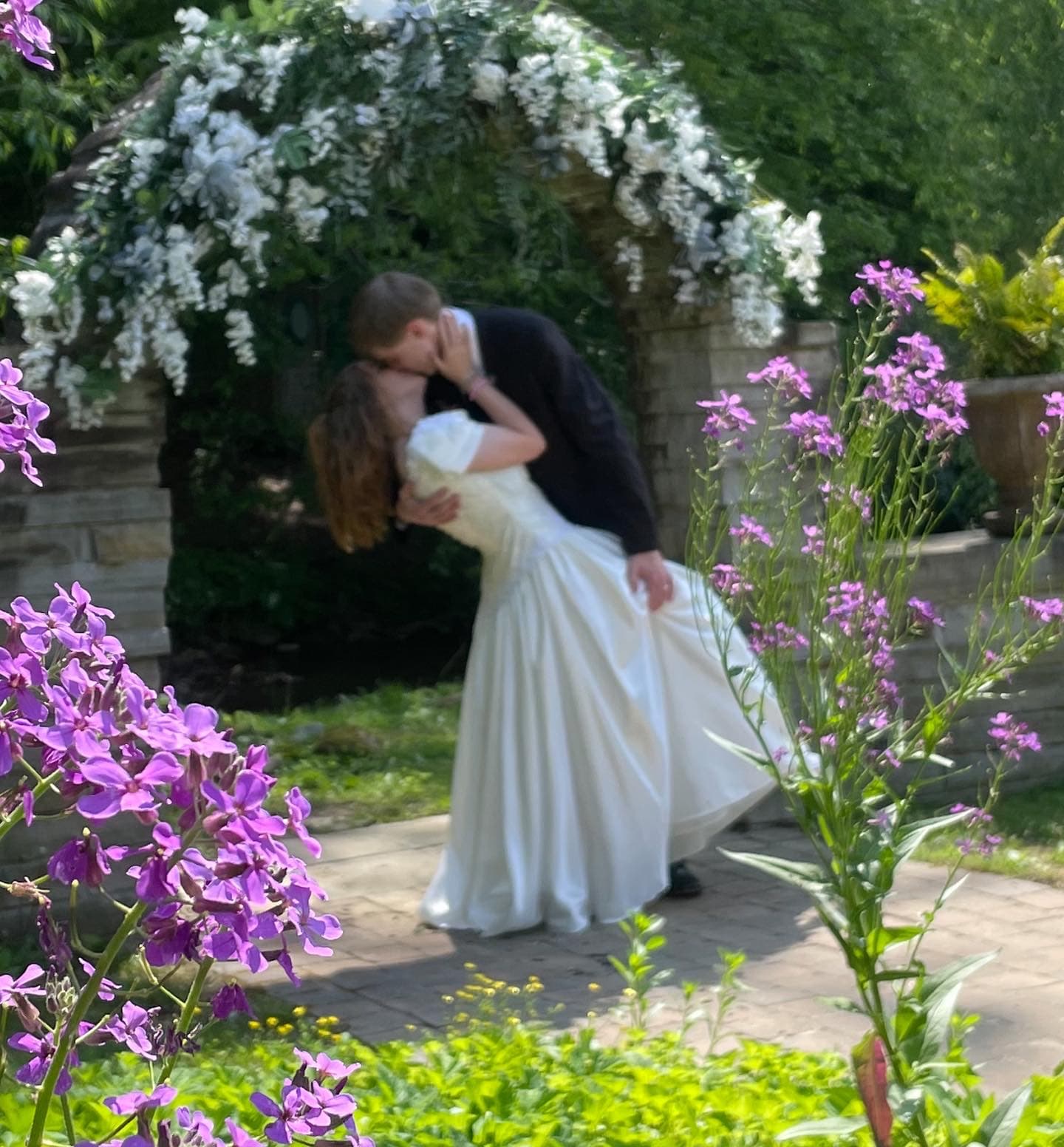 growing our family, photo 1 of 1