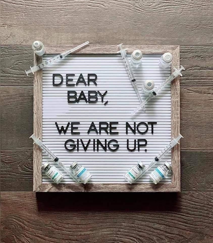 The Hulsey’s IVF Journey, photo 1 of 4