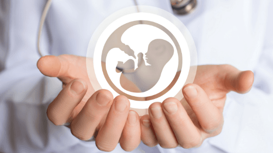 Jody’s Ivf, photo 1 of 1