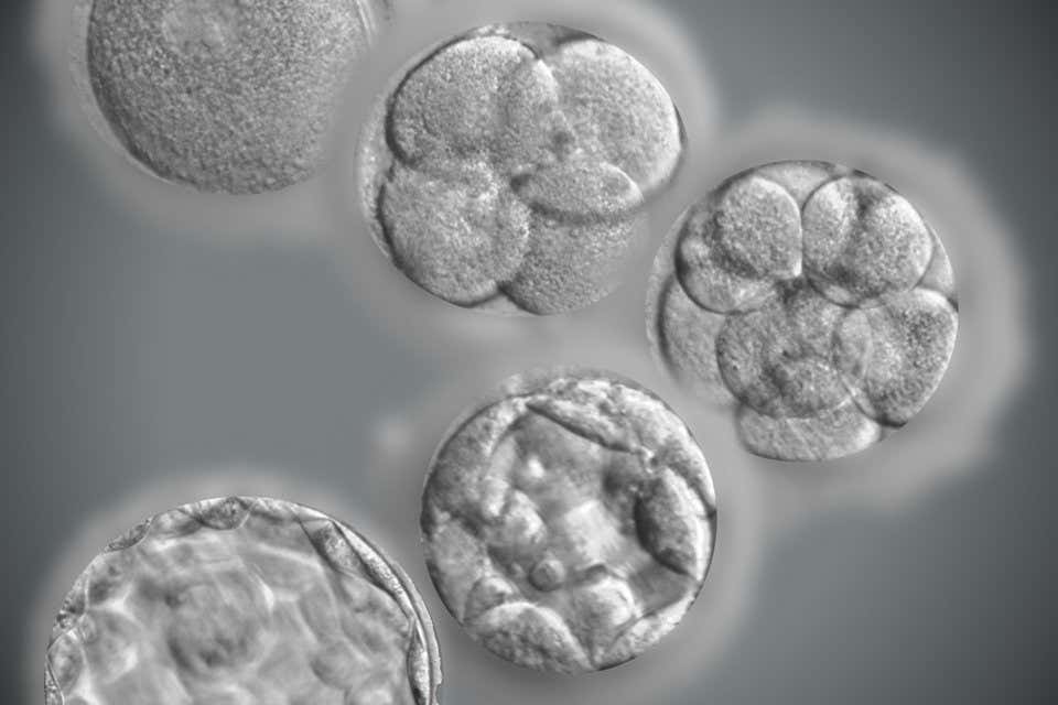 Cooper IVF, photo 1 of 1