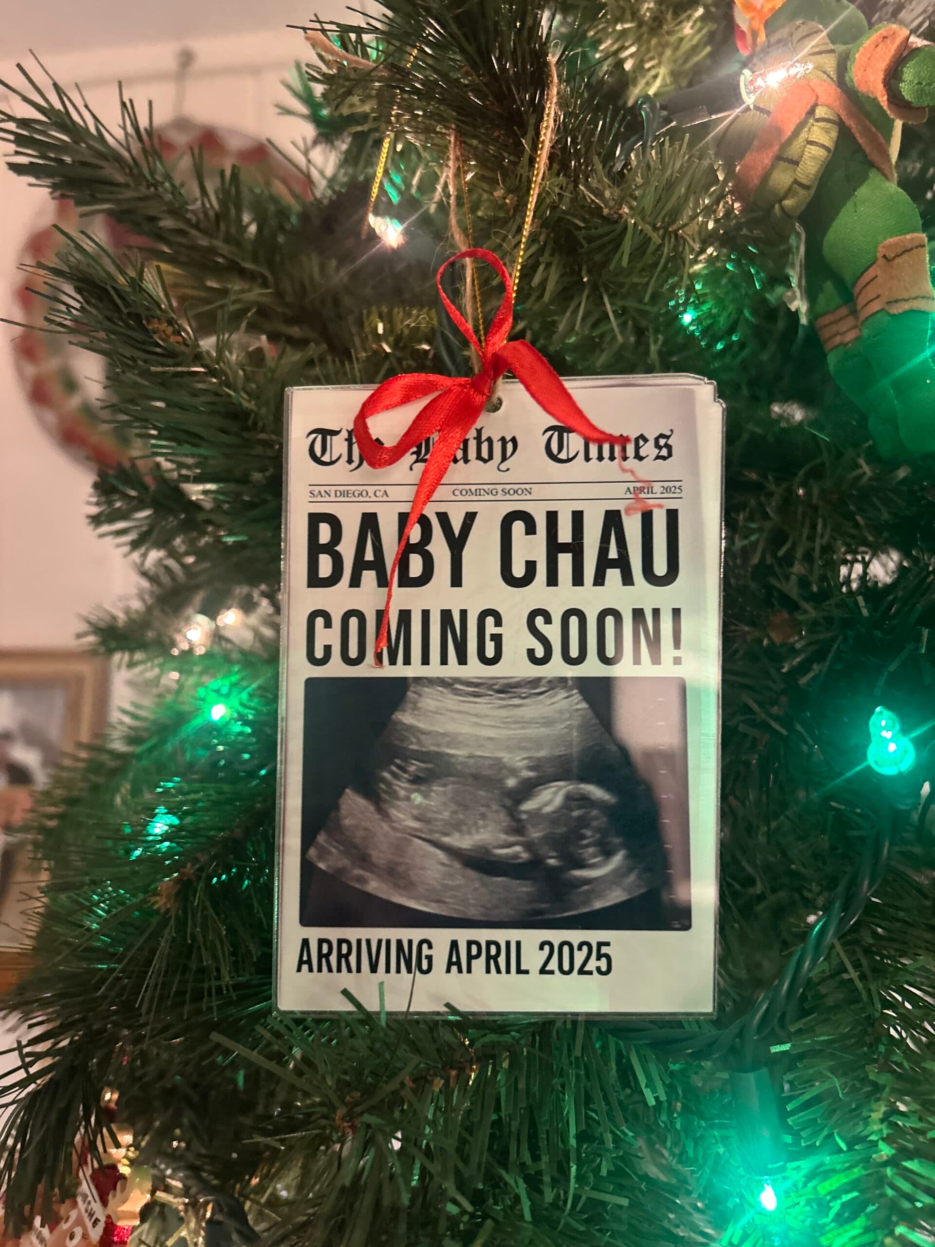 Baby Chau Journey, photo 1 of 5