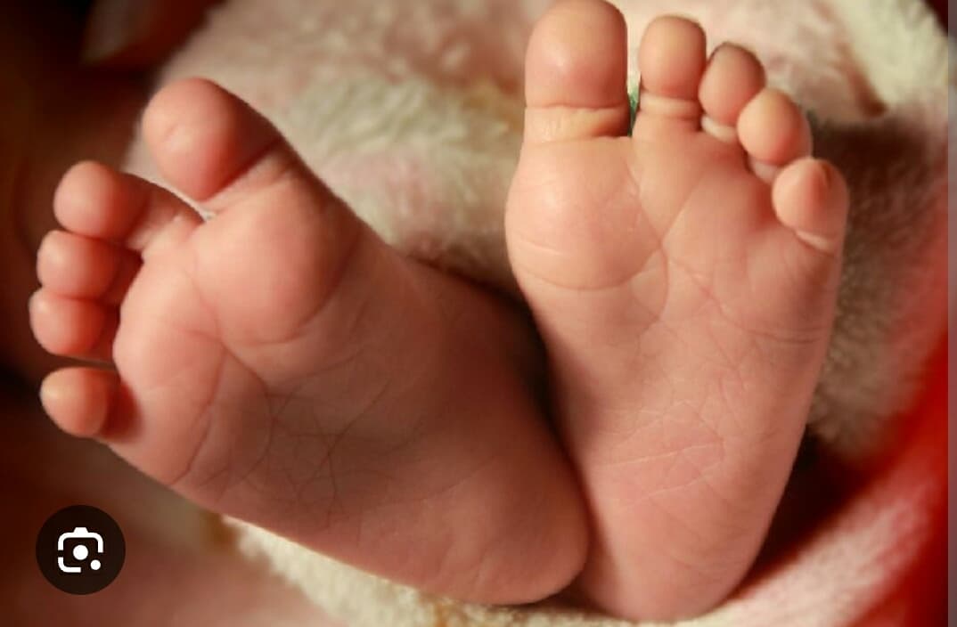 Ivf, photo 1 of 1