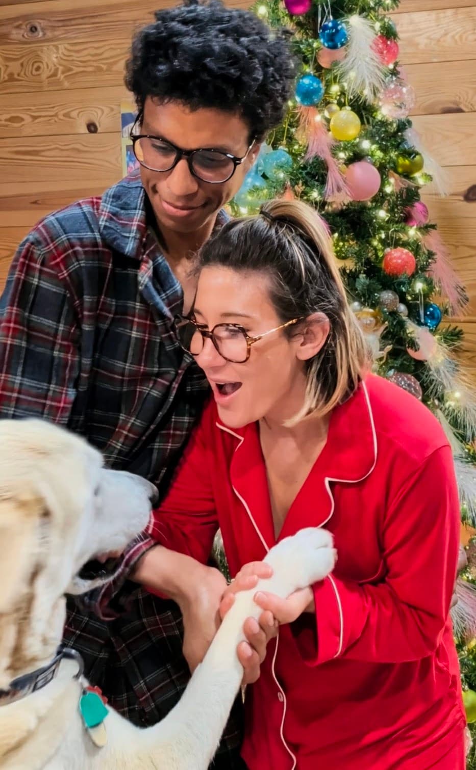 Help Cassidy & Russell Complete a Family, photo 1 of 1